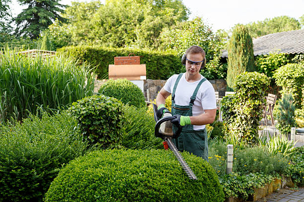 Lawn Irrigation Installation and Maintenance